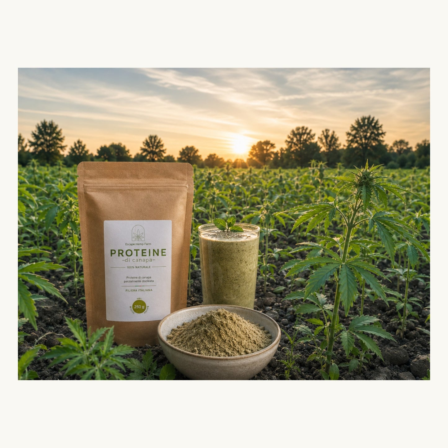 Proteine Vegetali di Semi di Canapa – Escape Hemp Farm
