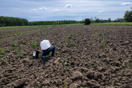 Benvenuto nel Diario di Campo