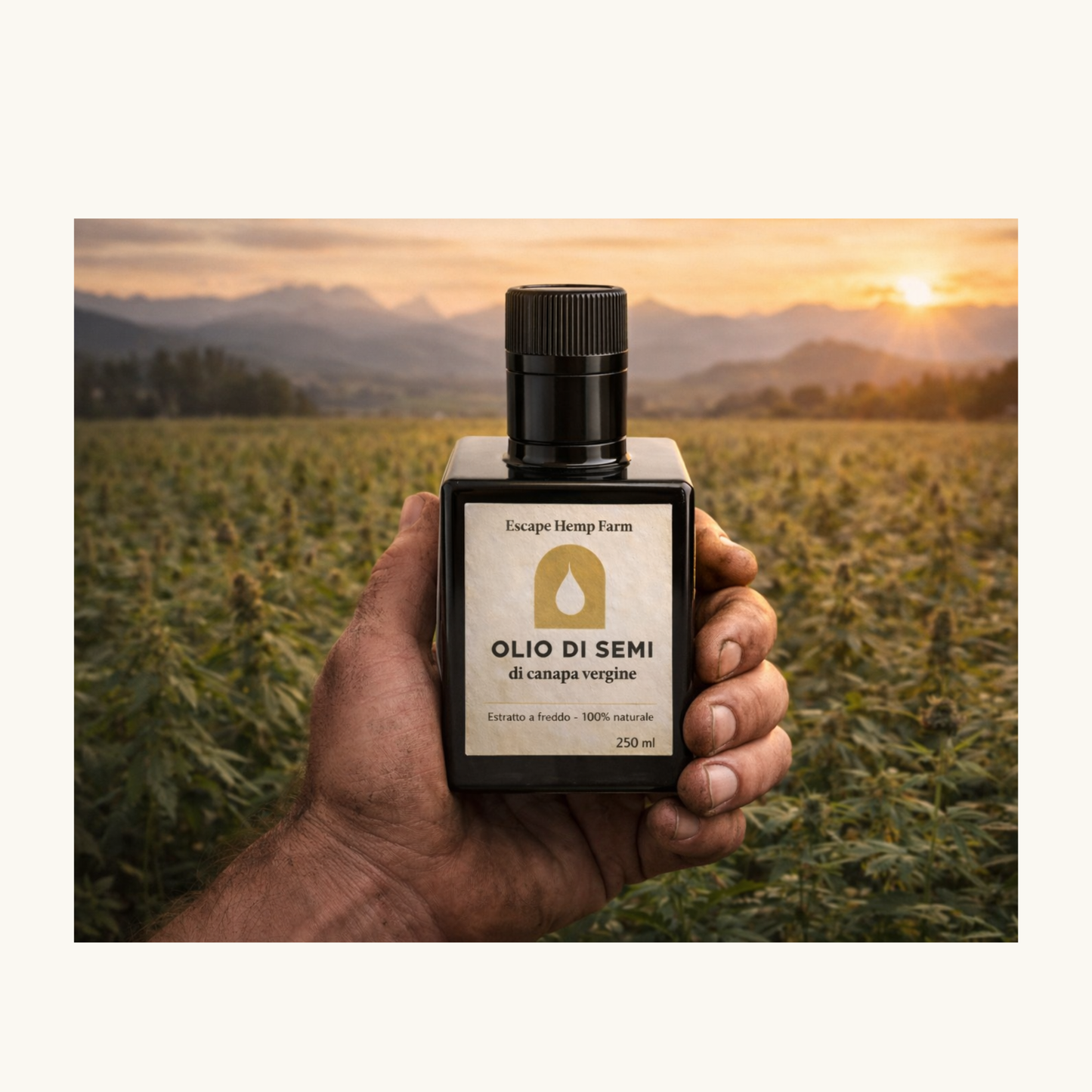 Olio di Semi di Canapa Vergine – Escape Hemp Farm