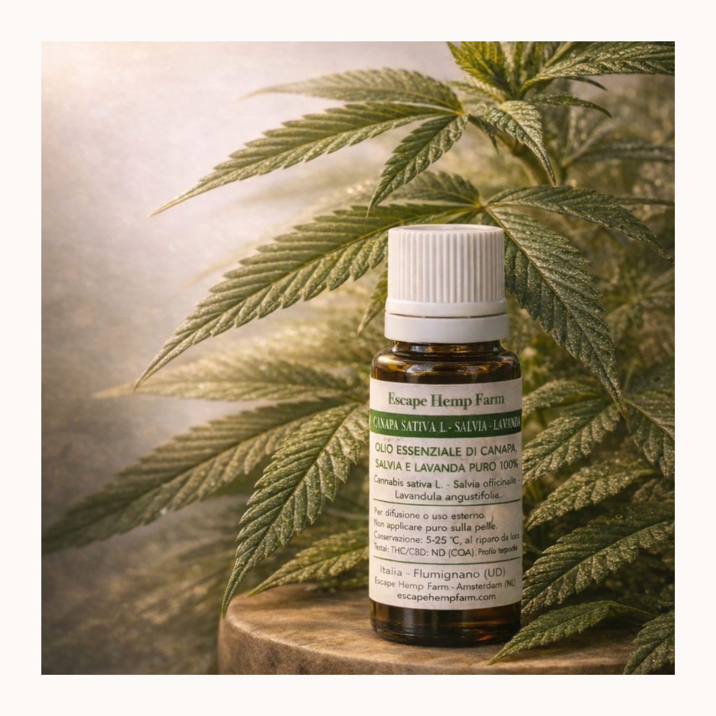 Olio Essenziale di Canapa, Salvia e Lavanda – Escape Hemp Farm